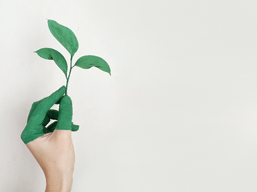 Sustainability – A Way Forward for Successful Business